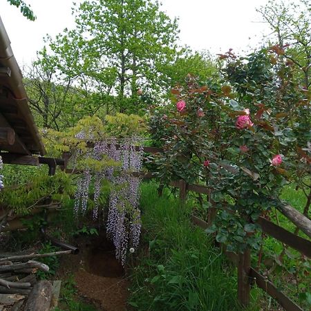 Bed and Breakfast Ca' De L'Ase Pontinvrea Exterior foto